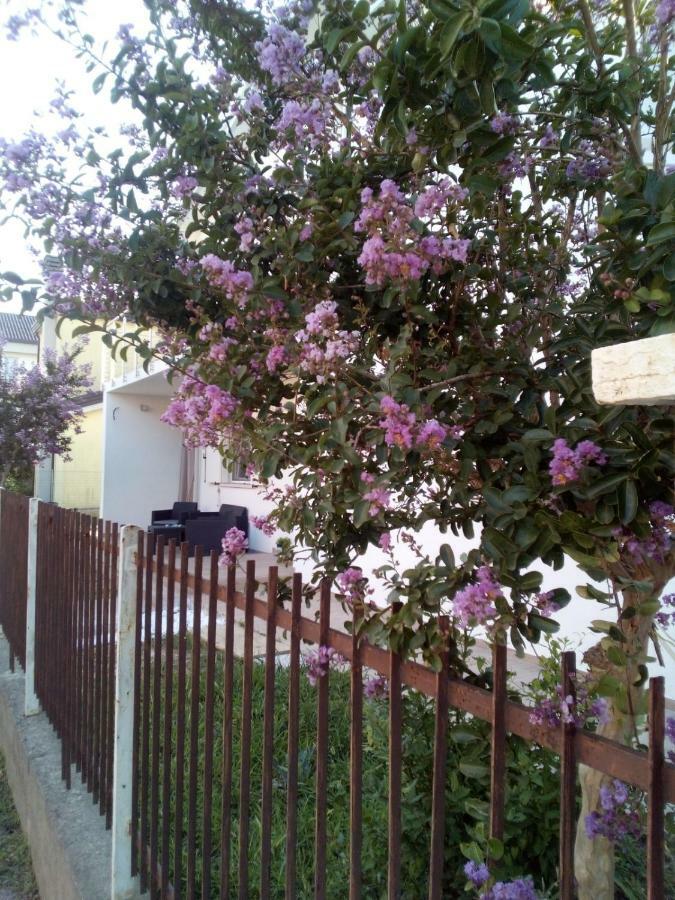 The Judas Trees Ferienhaus *